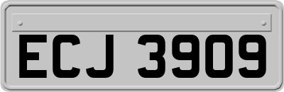 ECJ3909
