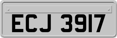 ECJ3917