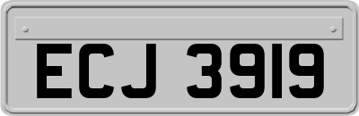 ECJ3919