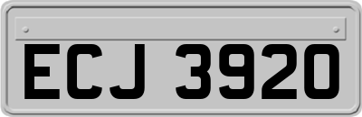 ECJ3920