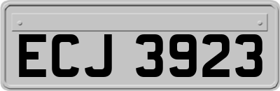 ECJ3923