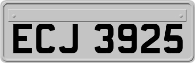 ECJ3925