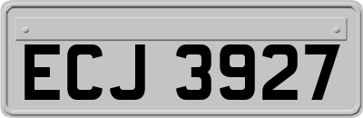 ECJ3927