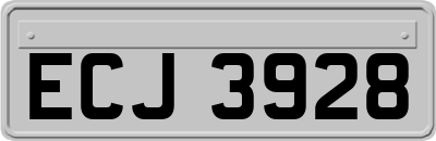 ECJ3928