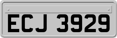 ECJ3929