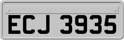 ECJ3935