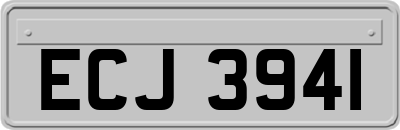 ECJ3941