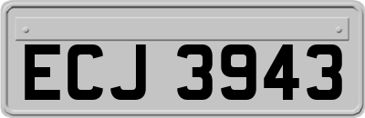 ECJ3943