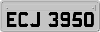 ECJ3950
