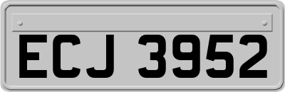 ECJ3952