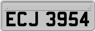 ECJ3954