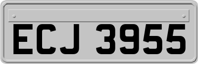 ECJ3955