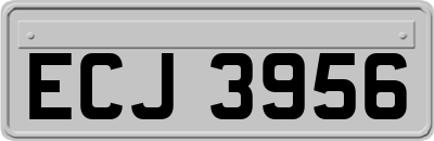 ECJ3956