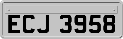ECJ3958