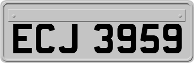 ECJ3959