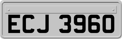 ECJ3960
