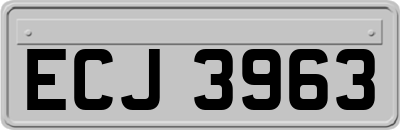 ECJ3963