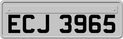 ECJ3965