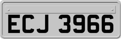 ECJ3966
