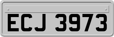 ECJ3973