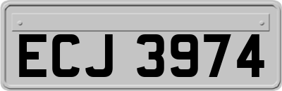ECJ3974