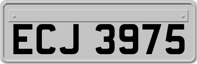 ECJ3975