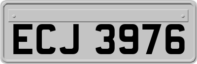 ECJ3976