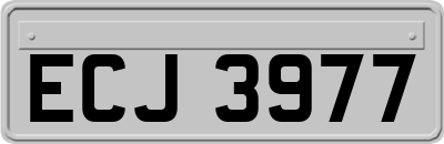 ECJ3977