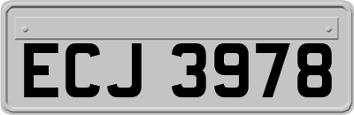 ECJ3978