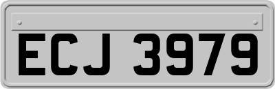 ECJ3979