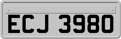 ECJ3980