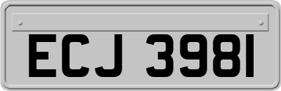 ECJ3981