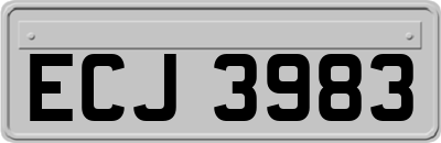 ECJ3983