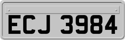 ECJ3984