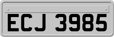 ECJ3985