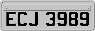 ECJ3989