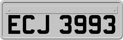 ECJ3993