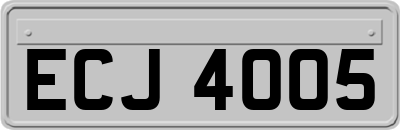 ECJ4005