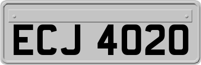 ECJ4020
