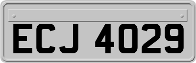 ECJ4029