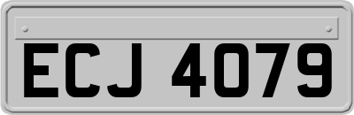 ECJ4079