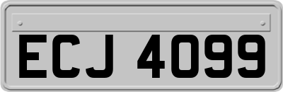 ECJ4099