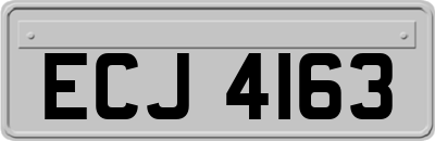 ECJ4163