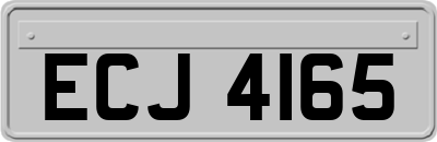 ECJ4165