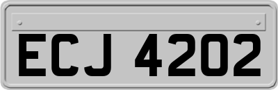 ECJ4202