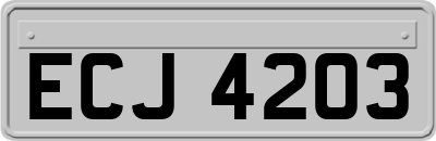 ECJ4203