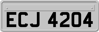 ECJ4204