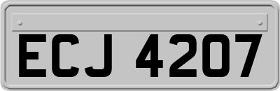 ECJ4207