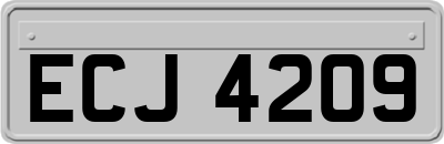 ECJ4209