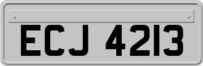 ECJ4213